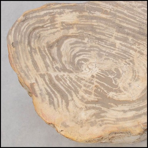 Table d'Appoint 221 - Petrified Wood n°H - Sophisticated room decor with petrified wood side table - Pacific Compagnie.