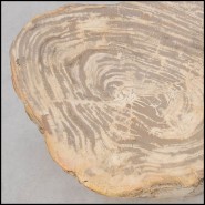 Table d'Appoint 221 - Petrified Wood n°H - Sophisticated room decor with petrified wood side table - Pacific Compagnie.