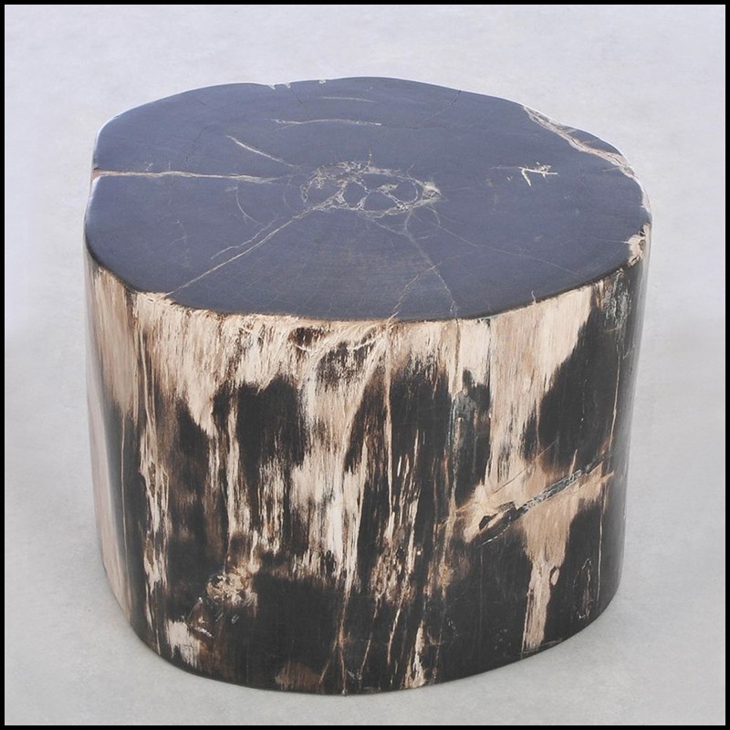Side Table 221-Petrified Wood N°F