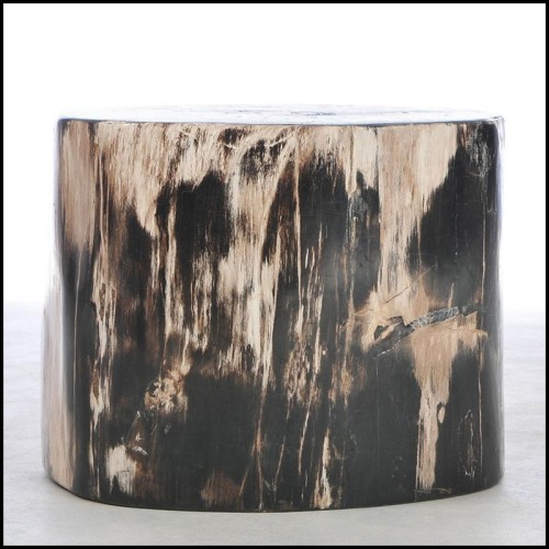 Table d'appoint 221 - Bois pétrifié N°F - Bois fossilisé - Pacific Compagnie.