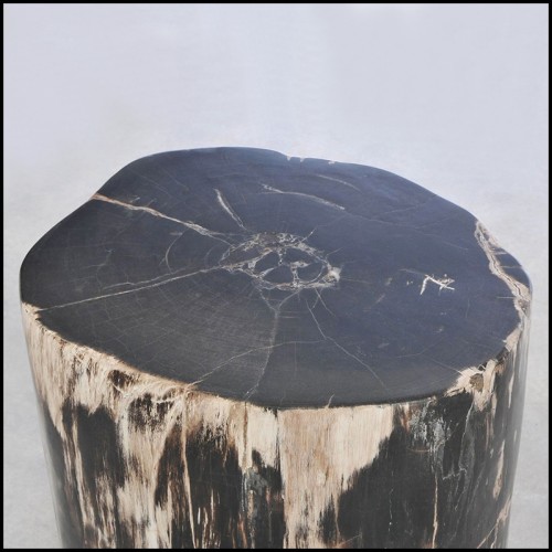 Side Table 221-Petrified Wood N°F