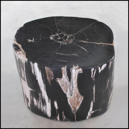 Side Table 221-Petrified Wood N°F
