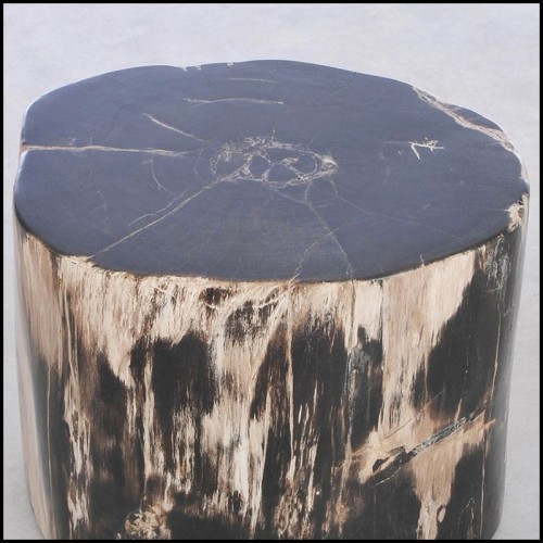 Side Table 221-Petrified Wood N°F