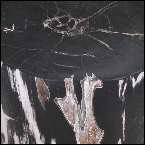 Side Table 221-Petrified Wood N°F