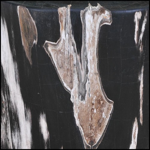 Side Table 221-Petrified Wood N°F