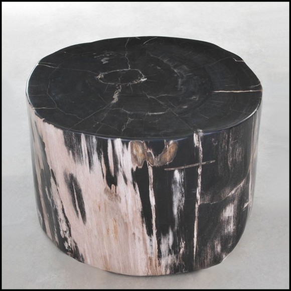 Table d'Appoint 221 - Petrified Wood N°I - Petrified wood side table with unique texture - Pacific Compagnie.