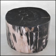 Table d'Appoint 221 - Petrified Wood N°I - Petrified wood side table with unique texture - Pacific Compagnie.