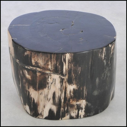 Table d'Appoint 221 - Petrified Wood N°I - Natural petrified wood side table with elegant design - Pacific Compagnie.