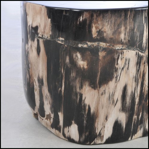 Table d'Appoint 221 - Petrified Wood N°I - Fossilized wood side table with distinctive patterns - Pacific Compagnie.