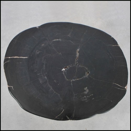 Table d'Appoint 221 - Petrified Wood N°I - Exquisite petrified wood side table with luxurious finish - Pacific Compagnie.
