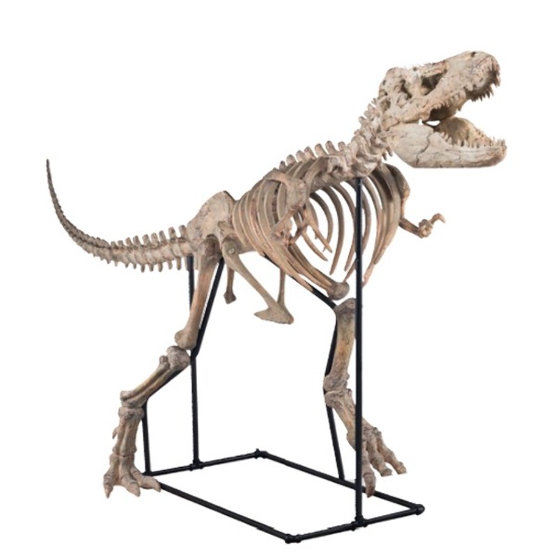 Resin sculpture dinosaur 70-Tarbosaurus