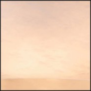 Suspension 24 - Ariano - Pacific Compagnie.