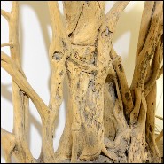 Paravent 83 - Racine de Lianne - Décoration intérieure - Pacific Compagnie.