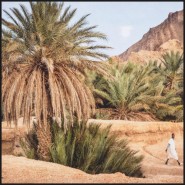 Impression 24 - Moroccan Oasis - vibrant desert‑inspired print, rich reds and golds evoke exotic escape - Pacific Compagnie.