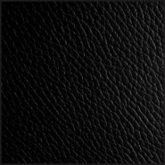 Plateau 24 - Monarch - Finition brillante - Pacific Compagnie.