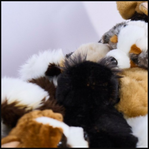 Banc 188 - Toutou | Bench 188 Toutou wood - Pacific Compagnie.