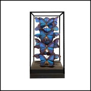 Colonne Envolée de Papillons - Morpho Didius PC | Morpho Didius butterfly display - Pacific Compagnie.