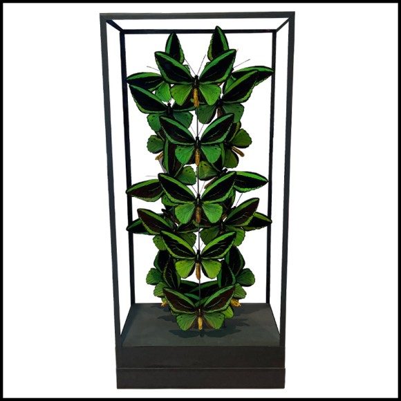 Colonne Envolée de Papillons - Ornithoptera Priamus PC - Oeuvre d'art - Pacific Compagnie.