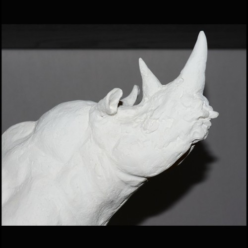 Sculpture 11 - Rhinoceros - Plâtre blanc - Pacific Compagnie.