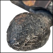 Sculpture PC - Tortue Ecaille et Macre - Edition limitée - Pacific Compagnie.