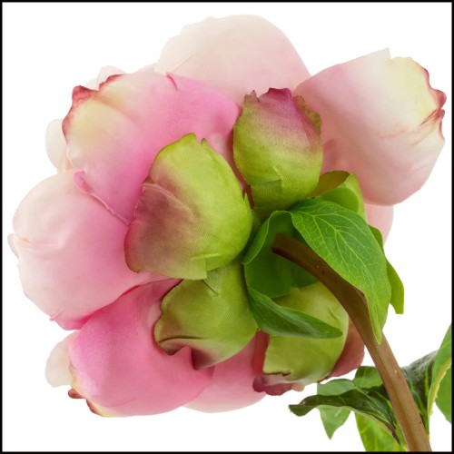 Bouquet 24 - Pivoines real touch 48 pcs/2 variétés - Realistic Touch Peonies - Pacific Compagnie.