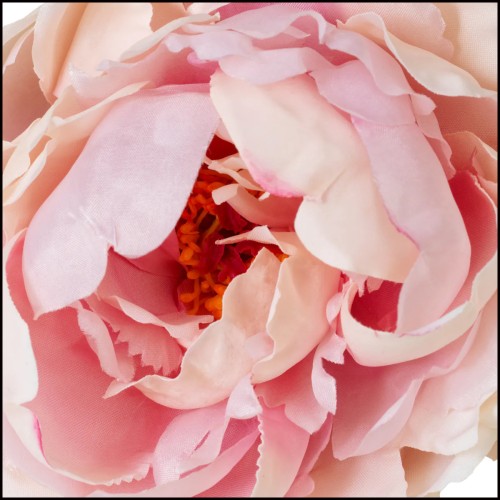 Bouquet 24 - Pivoines real touch 48 pcs/2 variétés - Pivoines de luxe - Pacific Compagnie.