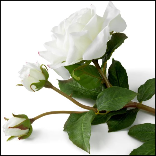 Bouquet 24 - Roses au toucher réaliste 72 pièces/2 variétés - Toucher réel - Pacific Compagnie.