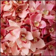 Bouquet 24 - D'orchidées Cymbidium | Bouquet 24 - Cymbidium Orchids real touch 36 pcs modern - Pacific Compagnie.