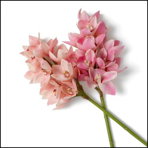Bouquet 24 - D'orchidées Cymbidium | Bouquet 24 - Cymbidium Orchids real touch 36 pcs interior - Pacific Compagnie.
