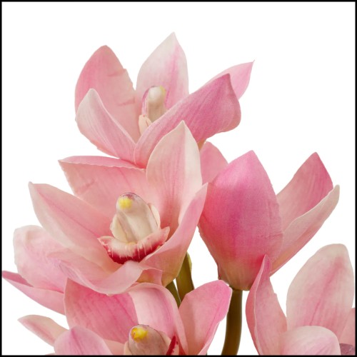 Bouquet 24 - Orchidées Cymbidium, vert - Pacific Compagnie.