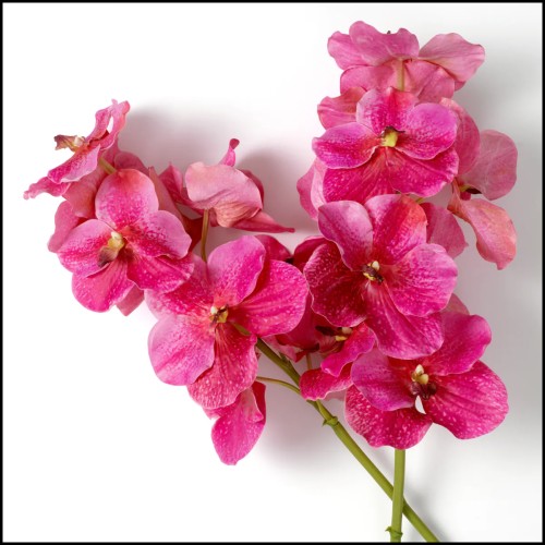 Bouquet 24 - D'orchidées Vanda au toucher réaliste 24 pièces | Bouquet 24 - Vanda Orchids real touch 24 pcs arrangement - Pacifi