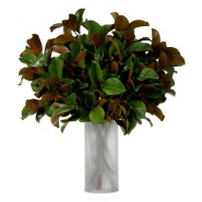 Bouquet 24 - Magnolia, délicat - Pacific Compagnie.