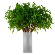 Bouquet 24 - Tender Leaves, feuilles - Pacific Compagnie.