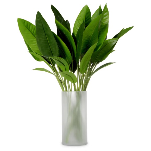 Bouquet 24 - Strelitzia, couleur - Pacific Compagnie.