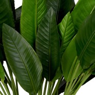 Bouquet 24 - Strelitzia | Bouquet 24 - Strelitzia orange - Pacific Compagnie.