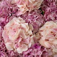 Bouquet 24 - Hydrangeas, centre table - Pacific Compagnie.