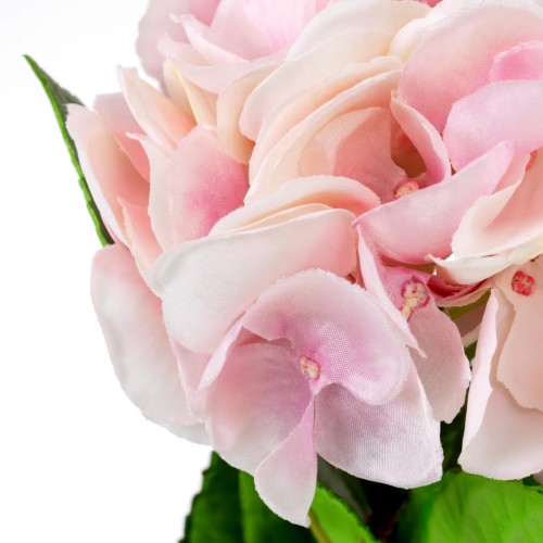 Bouquet 24 - Hydrangeas | Bouquet 24 - Hydrangeas blue - Pacific Compagnie.