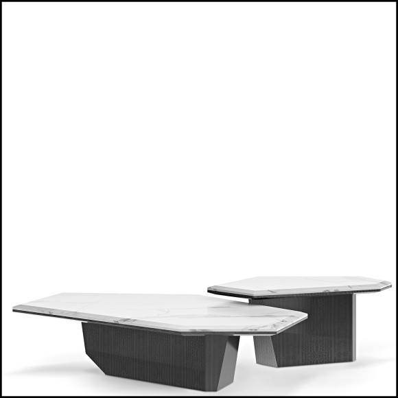 Table Basse 164 - Casuarina | Center Table 164 - Casuarina set of two tables - Set of two accent tables - Pacific Compagnie.