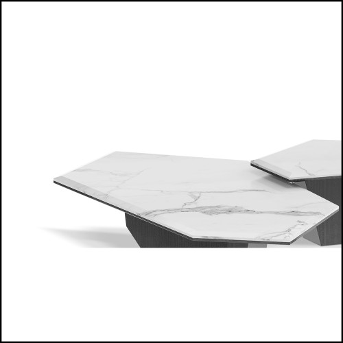 Table Basse 164 - Casuarina | Center Table 164 - Casuarina set of two tables - Nest of center tables - Pacific Compagnie.