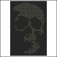 Tableau PC - Skull Gun Bullets - Pacific Compagnie.