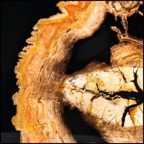 Table basse 24 - Villièrs - Pacific Compagnie.