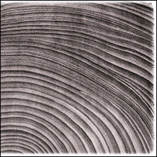 Tapis 237 - Los Collares | Rug 237 - Los Collares color - Pacific Compagnie.