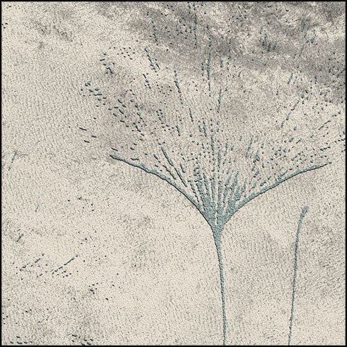 Tapis 237 - Brisa - Pacific Compagnie.