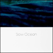 Affiche Philippe Vogelenzang 24 - Slow Ocean - Thème marin - Pacific Compagnie.