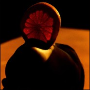 Impression Philippe Vogelenzang 24 - Vitamine orale - Moderne - Pacific Compagnie.