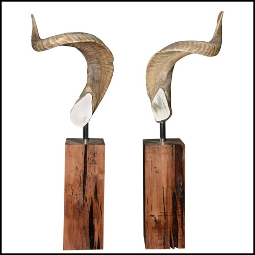 Real Aries horns PC-Aries...