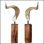 Véritables cornes de Bélier PC-Aries Horns