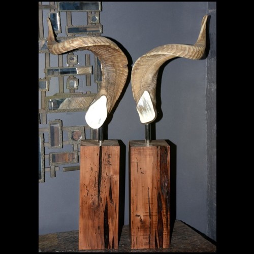 Objets Décoratifs PC - Bélier - Véritable corne - Pacific Compagnie.