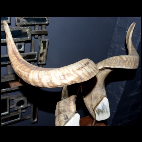 Objets Décoratifs PC - Bélier - Pièce unique - Pacific Compagnie.