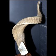 Real Aries horns PC-Aries Horns
